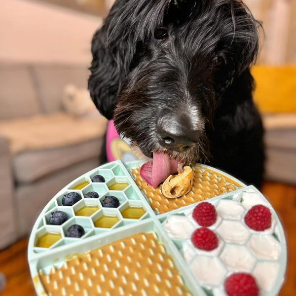 Buddy Budder Squeeze Packs